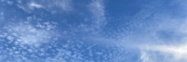 RingRingRrrr Profile Banner