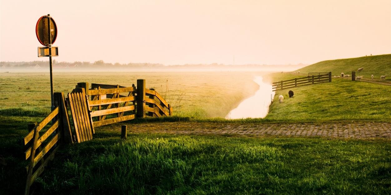 TIME FARM PRODUCTS banner