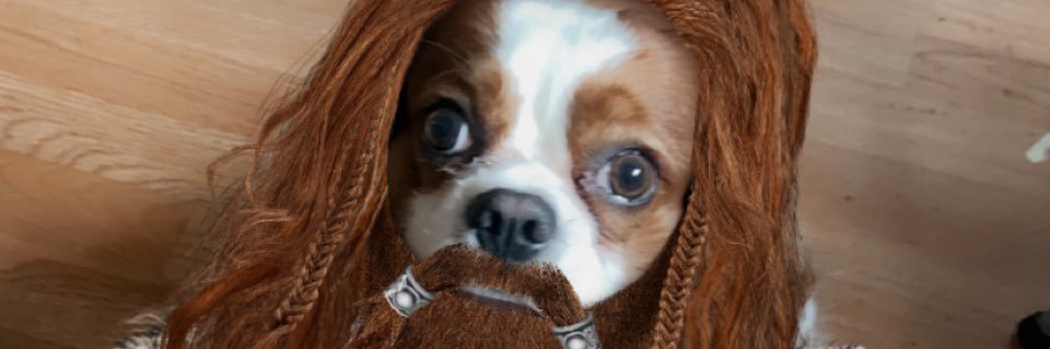 Stephenbudz1's profile banner image