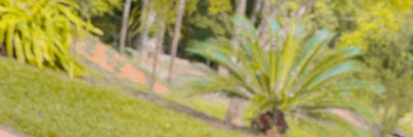 iam_Robsonczar's profile banner image
