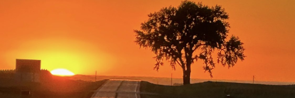 JaredLynnes's profile banner image