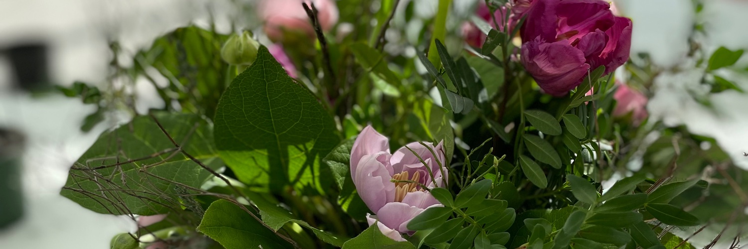 louisedavis84's profile banner image
