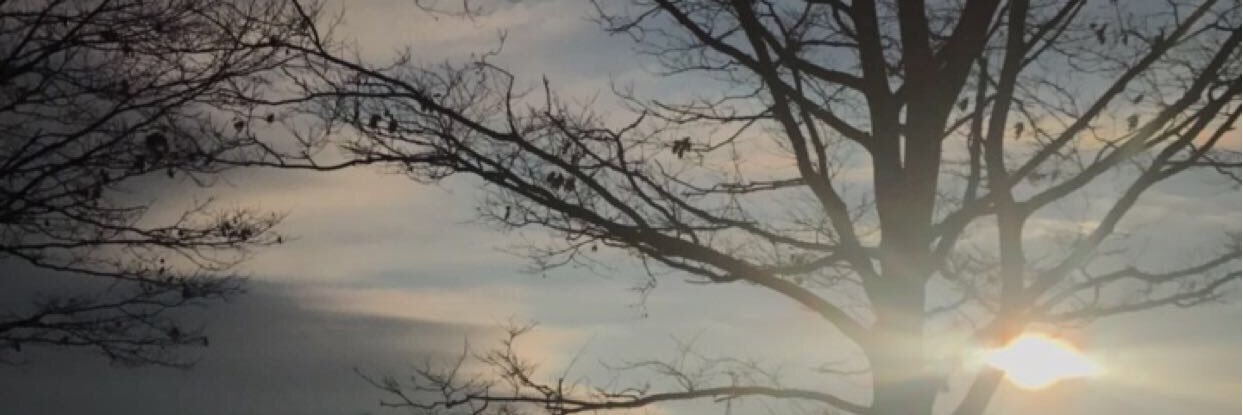 lmbax_'s profile banner image