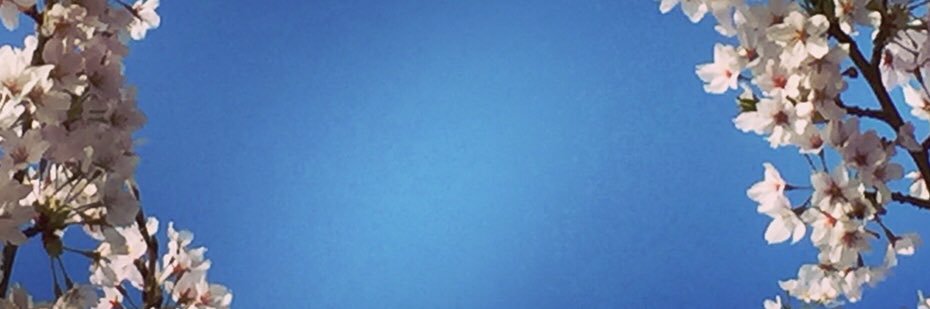 HelenV banner