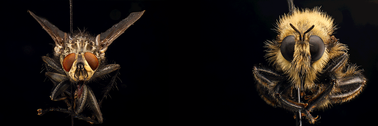 Morgan Jackson, PhD banner