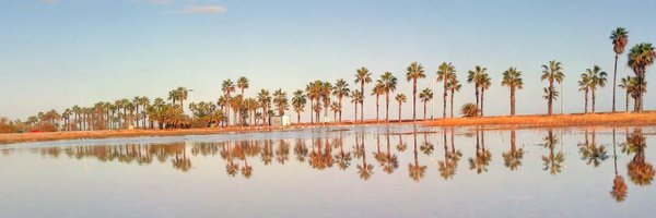 raitum Profile Banner