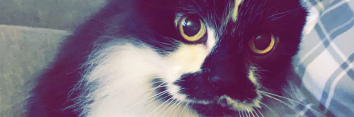 h_rivssss's profile banner image