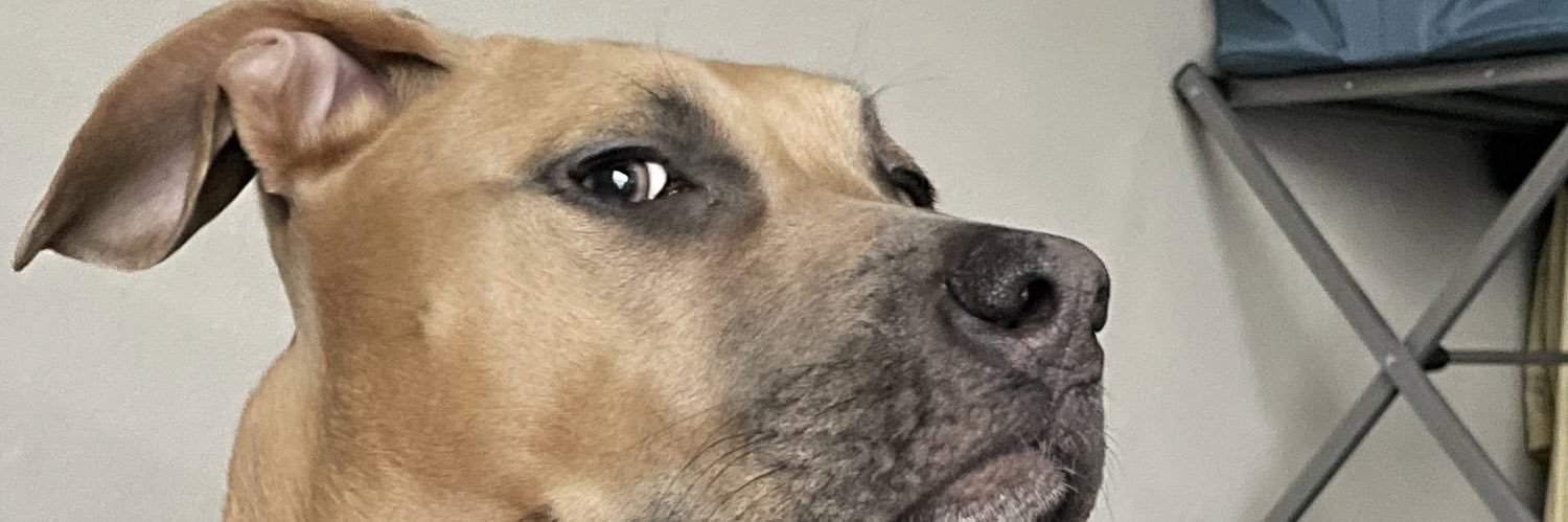 gtamr_'s profile banner image