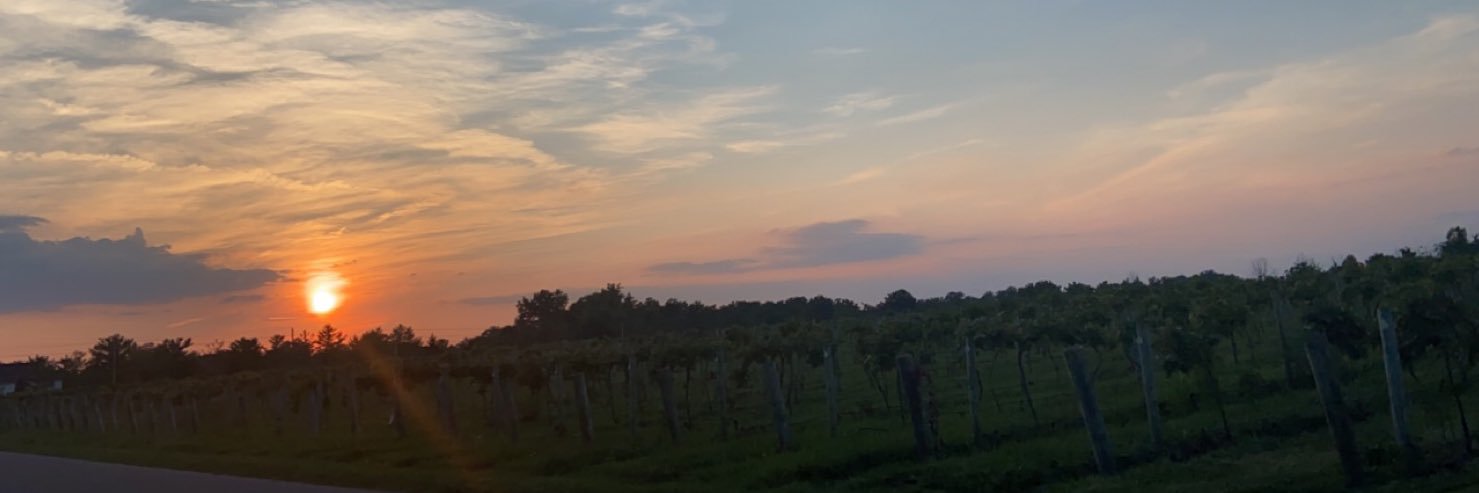 garyweber02's profile banner image