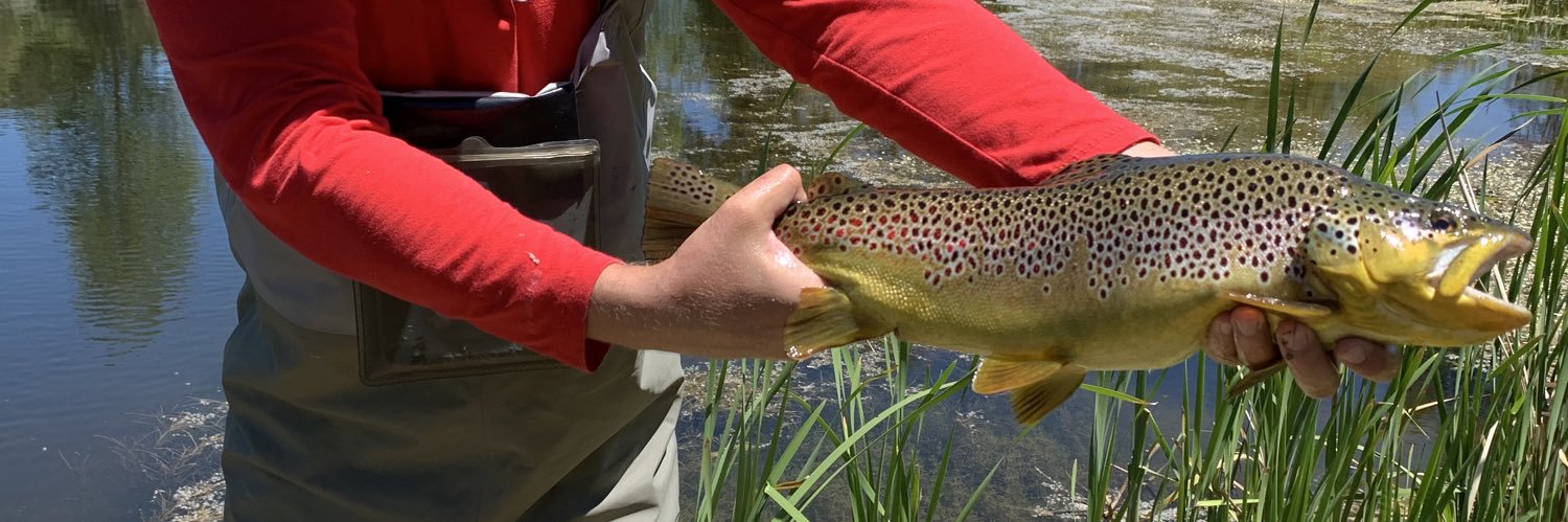 FlyFishingUtes's profile banner image