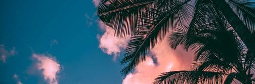 ThatKid_Bigsosa's profile banner image