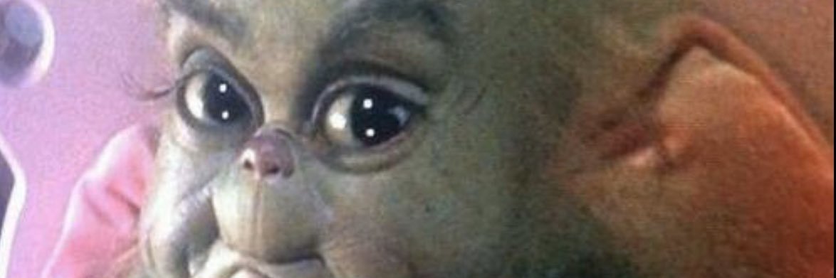 bethy banner
