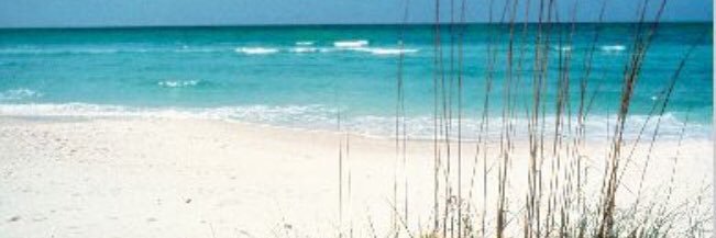 elle_beasley's profile banner image