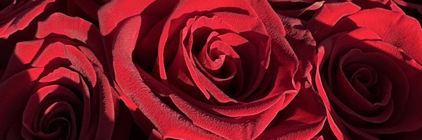 arielsallysaa_'s profile banner image