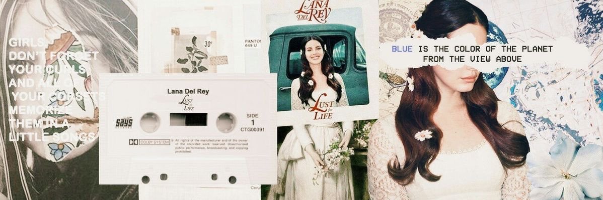 moonlightvougee's profile banner image