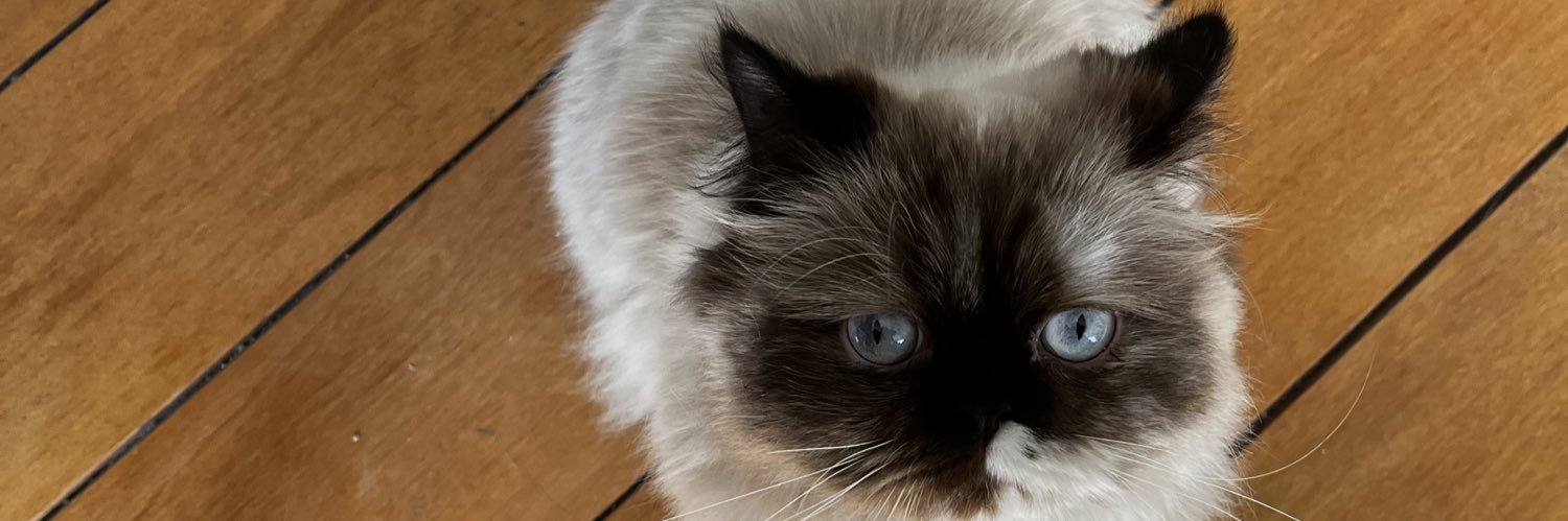 gcarrerab's profile banner image