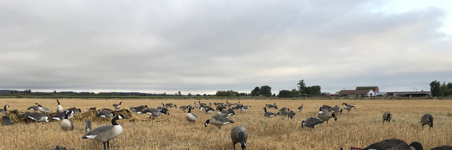 quackmasternate's profile banner image