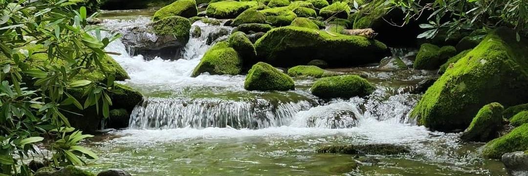 Anthony Sherman banner
