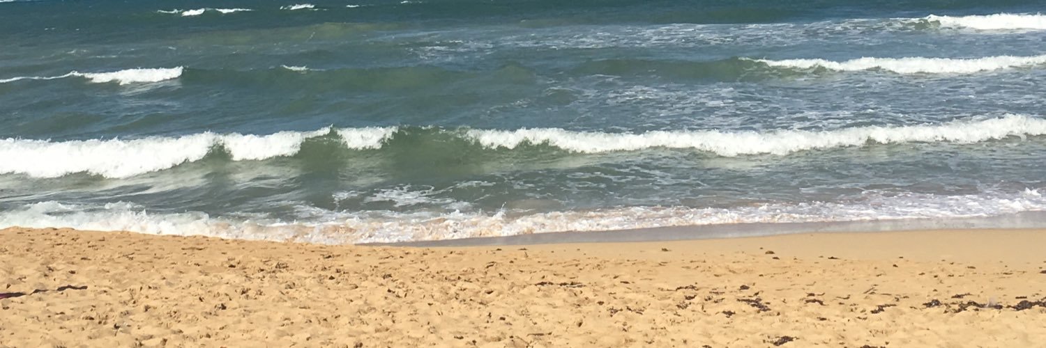 CarsonRothove's profile banner image