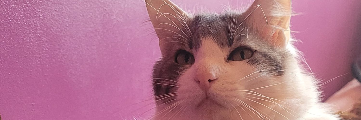deathgh3's profile banner image