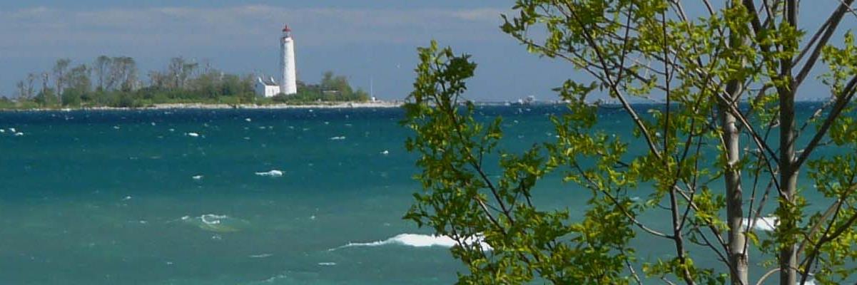 RotaryHuronShoreRun banner