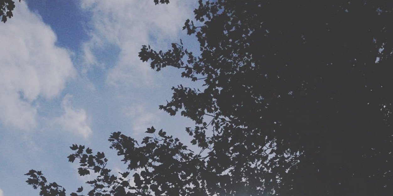 mi_alry's profile banner image