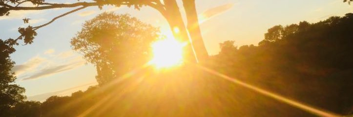 HaileyMolloy's profile banner image