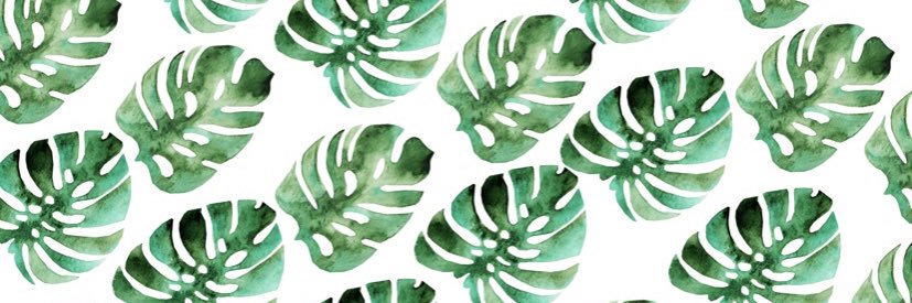 TayS2015's profile banner image