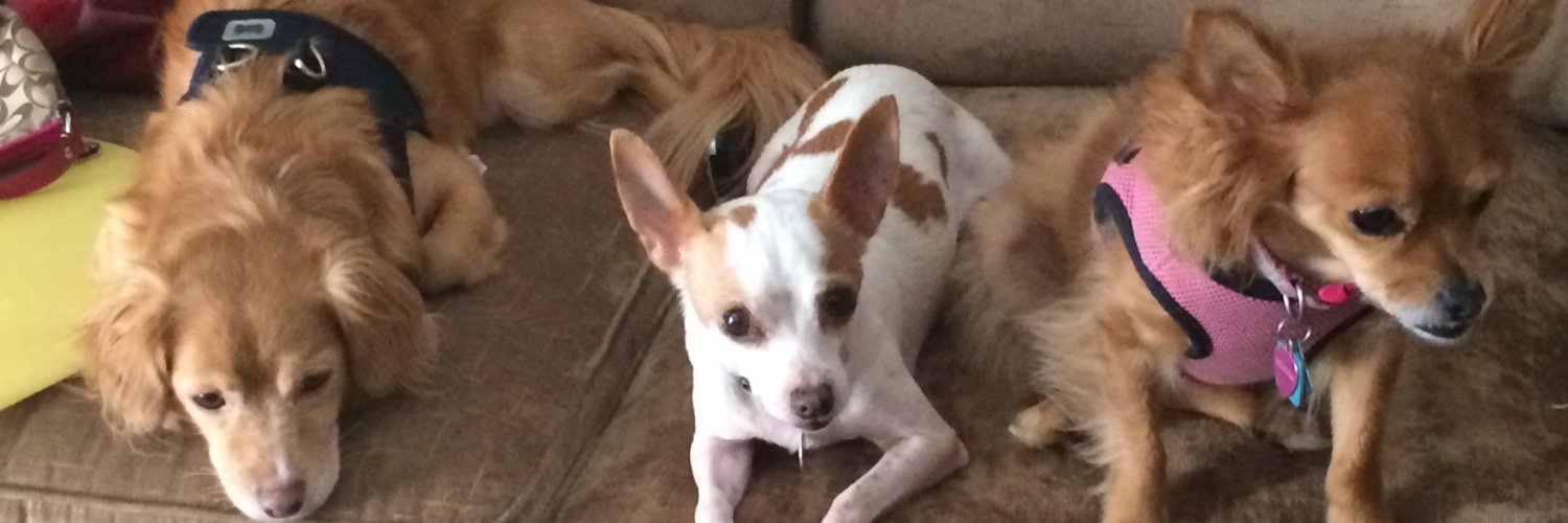 Rebecca Almes banner