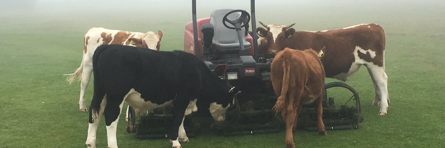 Adam Matthews banner