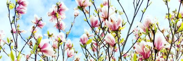 EricMulhouse Profile Banner