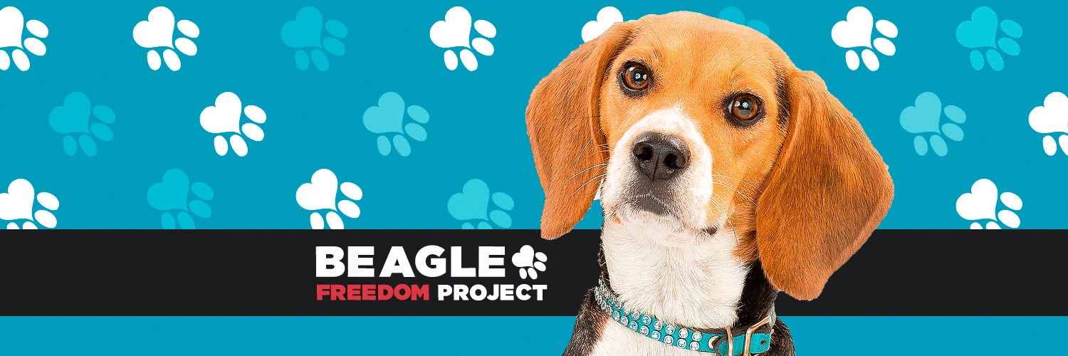 Beagle Freedom Project's banner