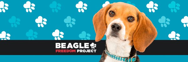 Beagle Freedom Project Profile Banner