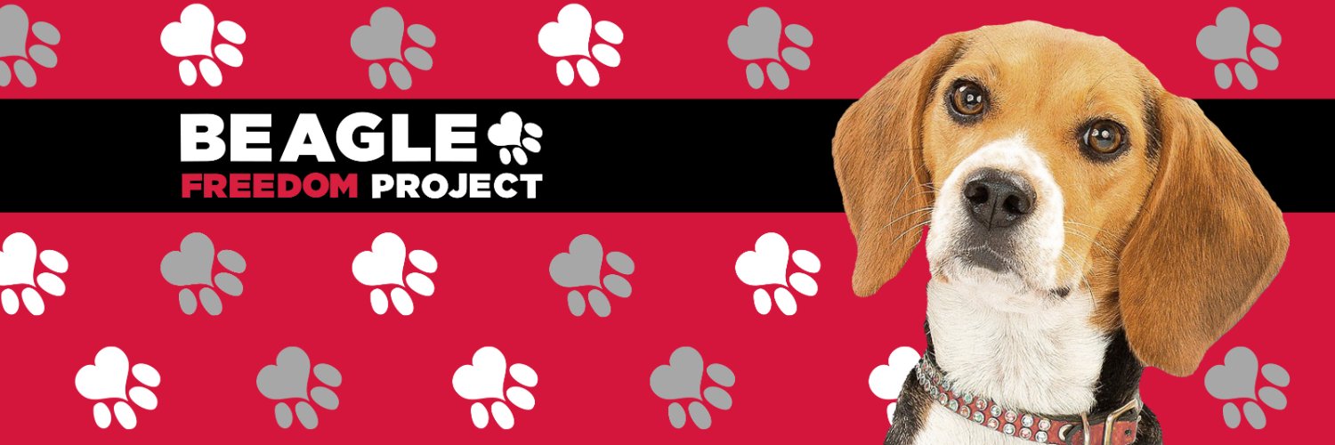 Beagle Freedom Project banner