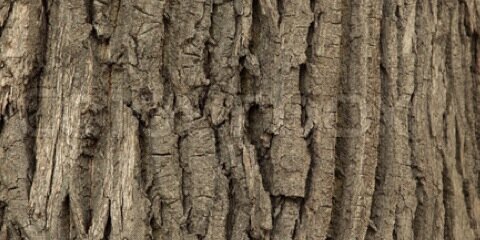 BarttheBuilder's profile banner image