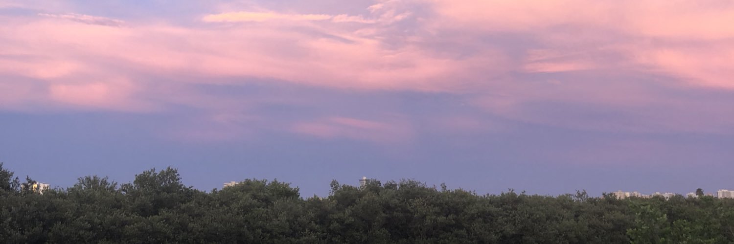 haught_eahaught's profile banner image