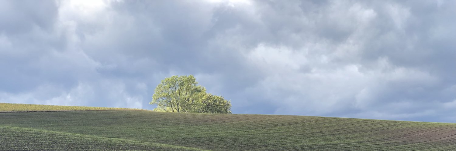 Tormcrowd's profile banner image