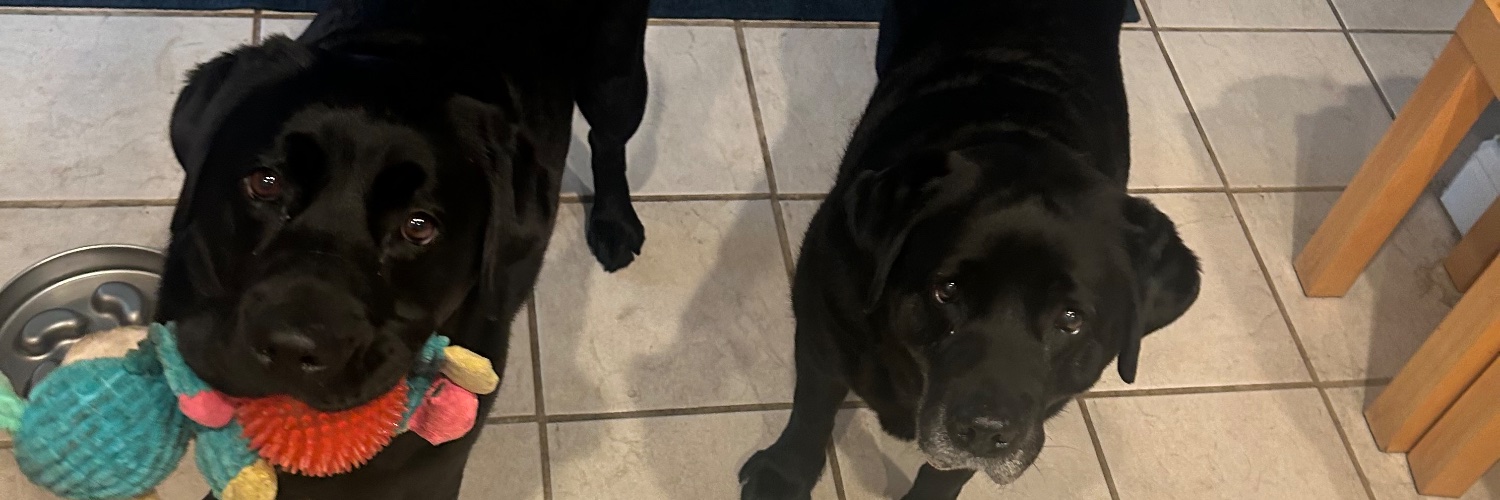 Lance MoonRider banner