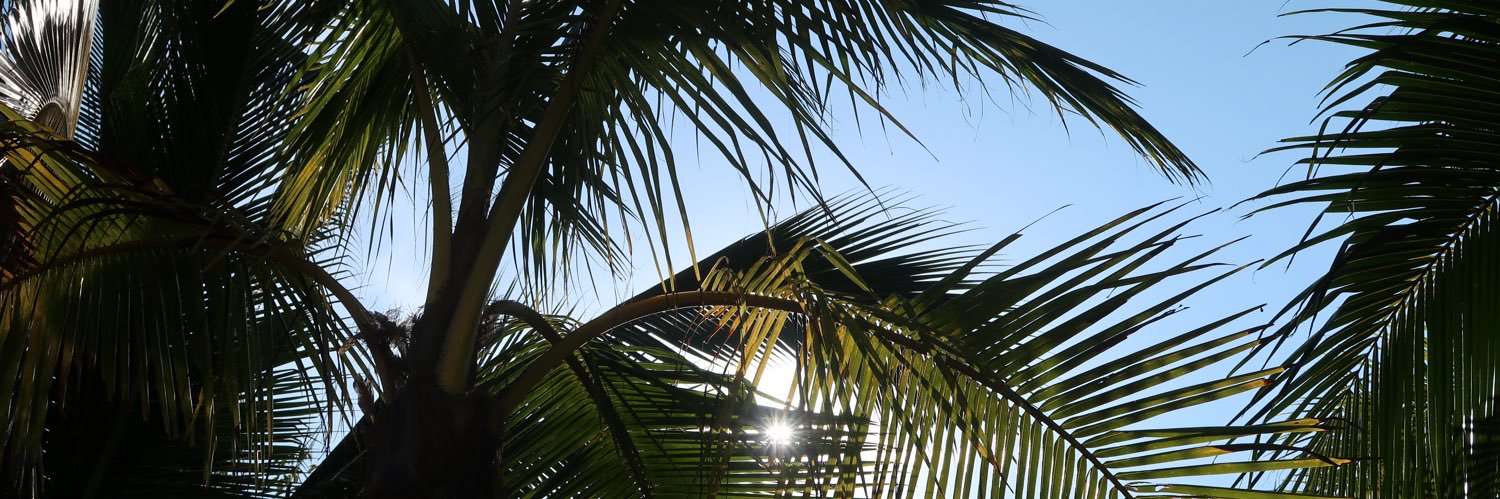 justawildthing banner