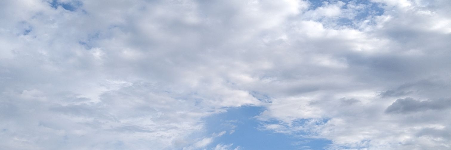 drawhale's profile banner image