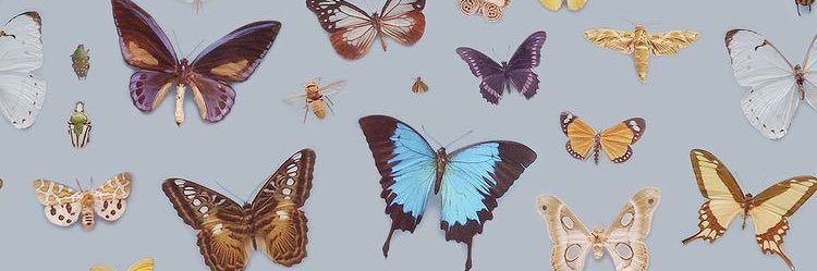 melissaa_murphy's profile banner image