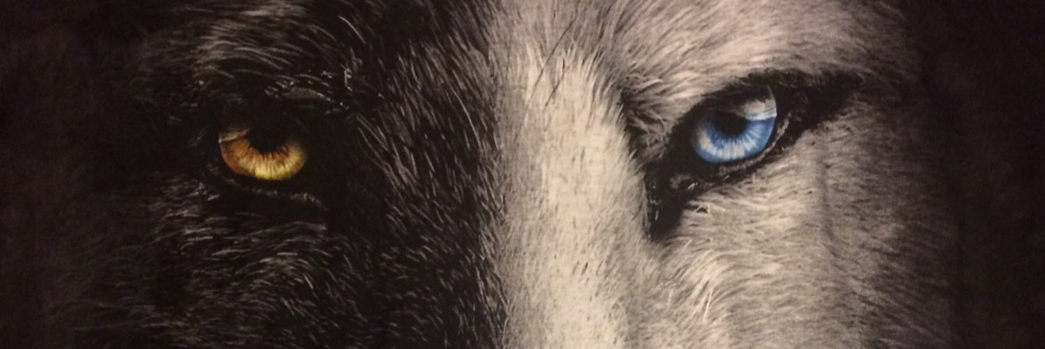 thegame1967's profile banner image