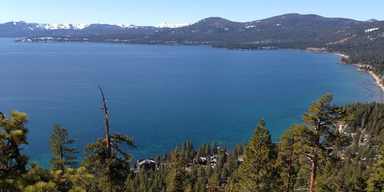 Steve Perlman banner