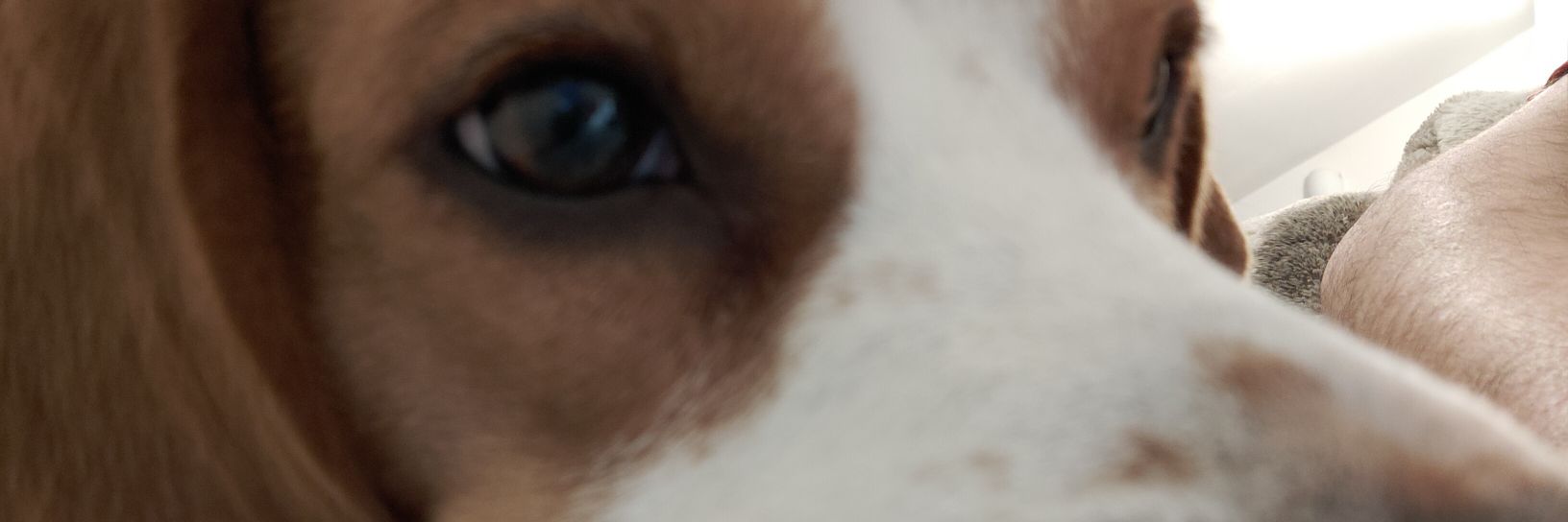 8fernandorp's profile banner image