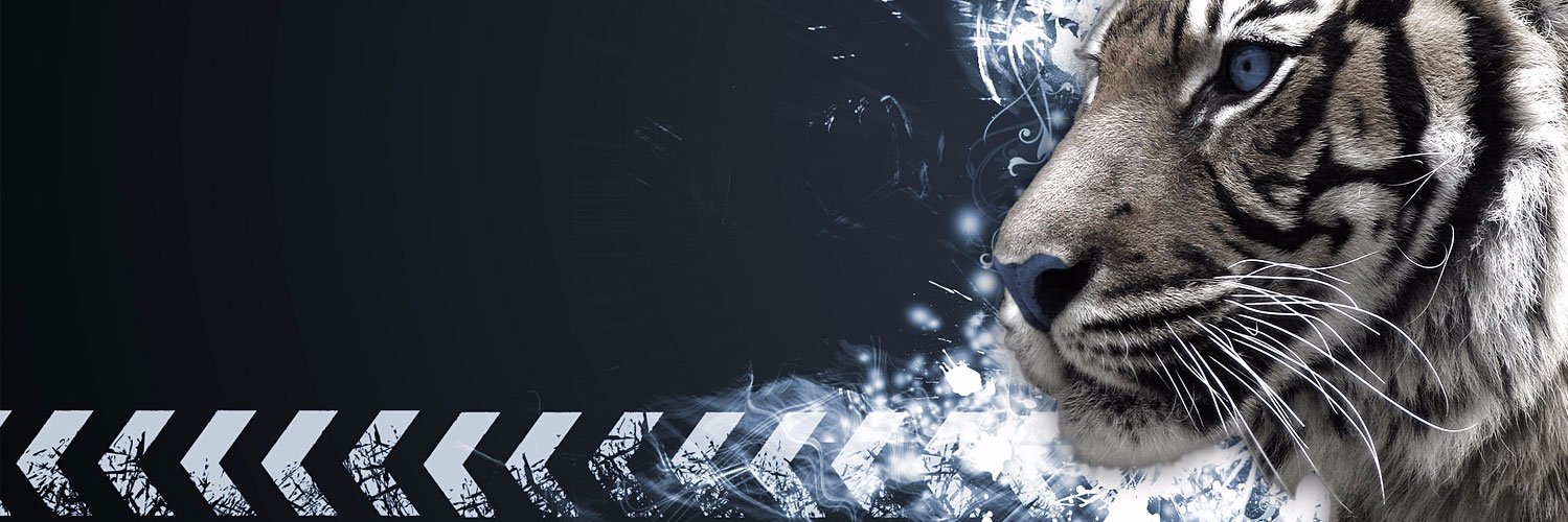 ˥ǝƃǝᴉds ǝʞᴉds banner