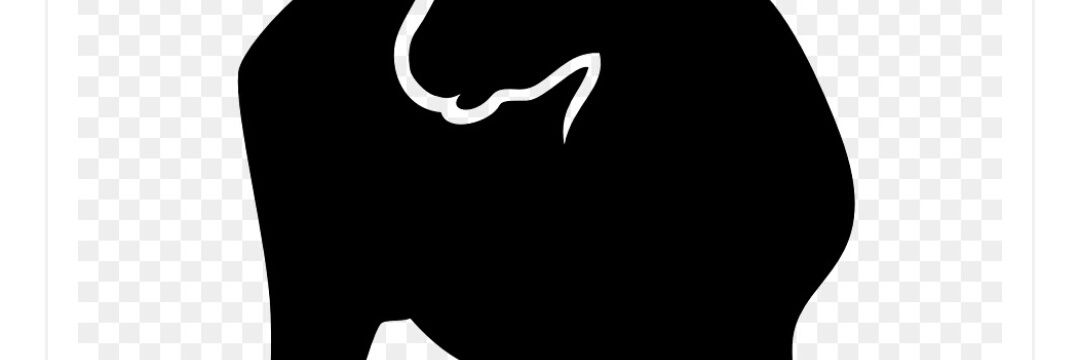 maxcapri58's profile banner image