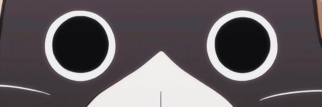 MomoHampen's profile banner image