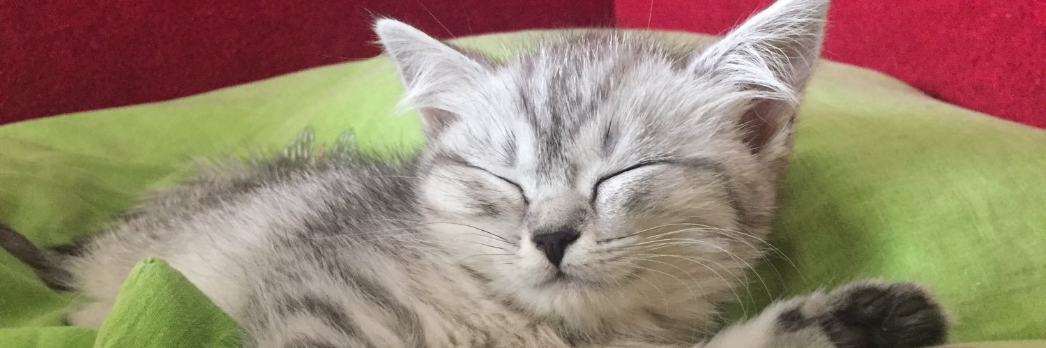 arinaos15's profile banner image
