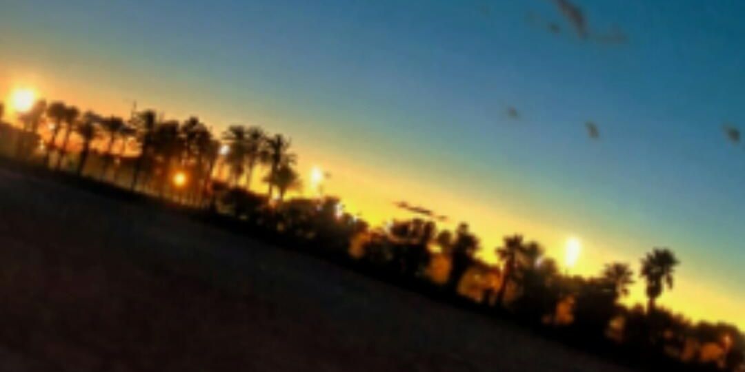 PabloFabregas4's profile banner image