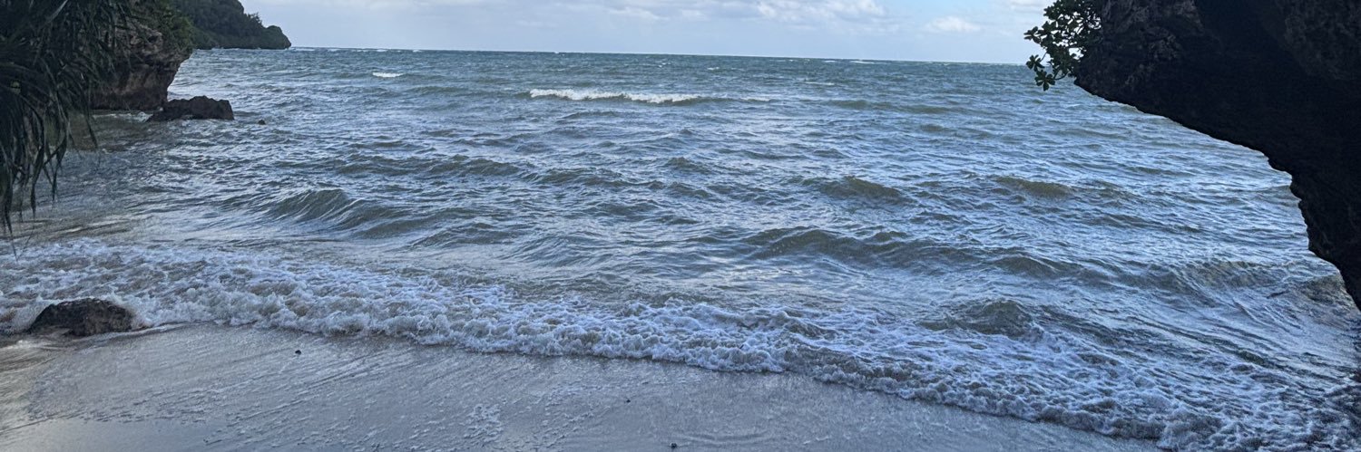 SW985's profile banner image